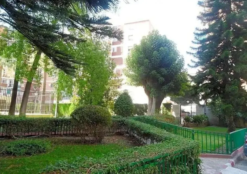 Gran San Carlos Malaga Apartment
