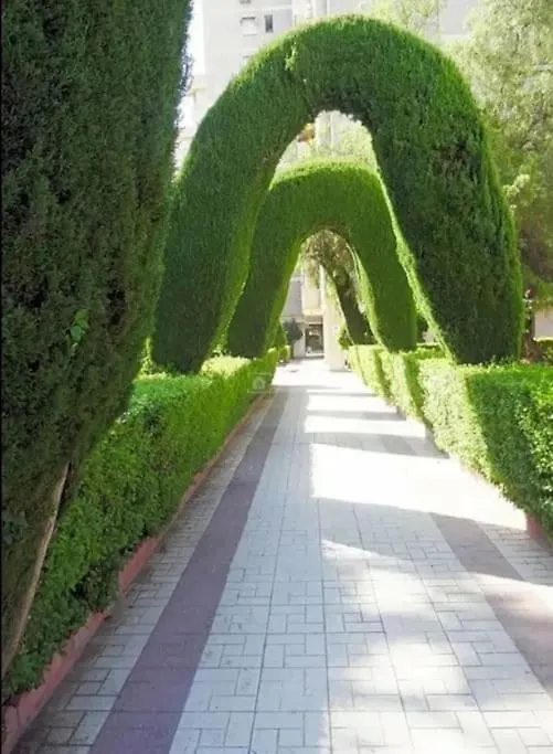 Apartment Gran San Carlos Malaga